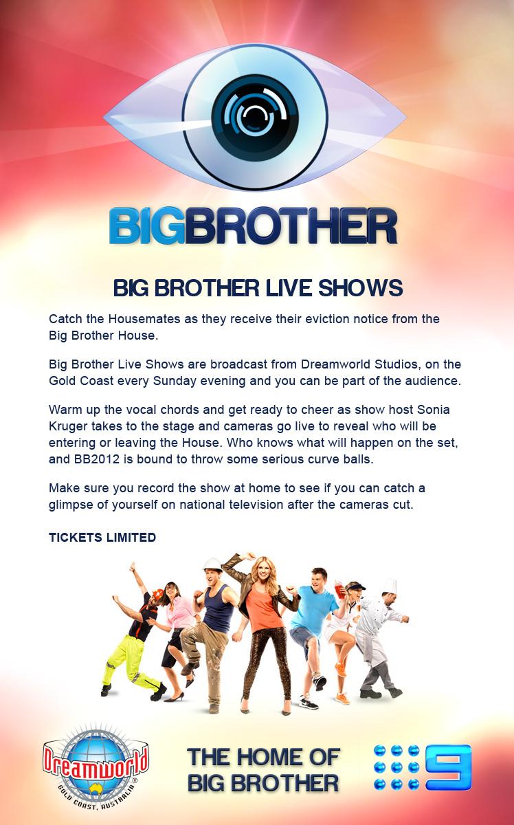 big brother banner